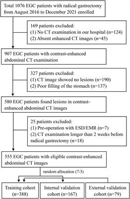 Development and validation of a predictive model combining clinical, radiomics, and deep transfer learning features for lymph node metastasis in early gastric cancer